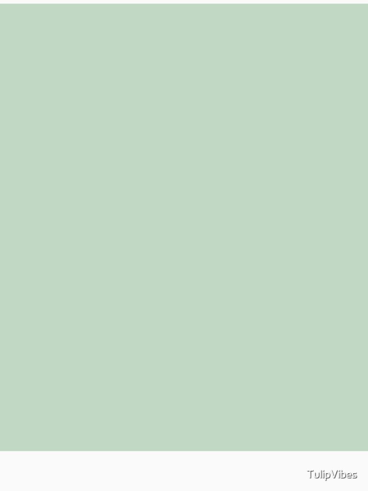 Soft Sage Minimalist Solid Color by TulipVibes