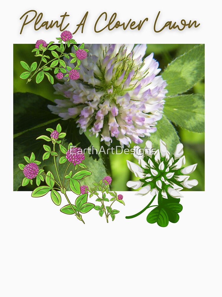 Plant A Clover Lawn Pollinator Eco-Friendly Design by EarthArtDesigns