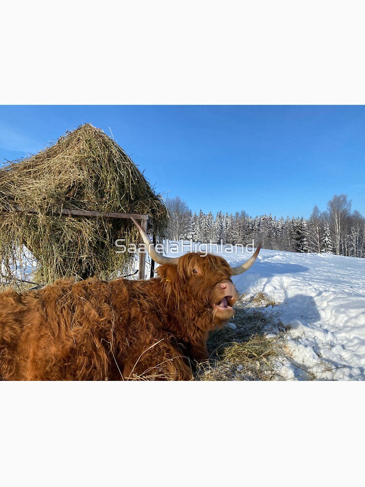 Scottish Highland Cattle Cow 3224 by SaarelaHighland