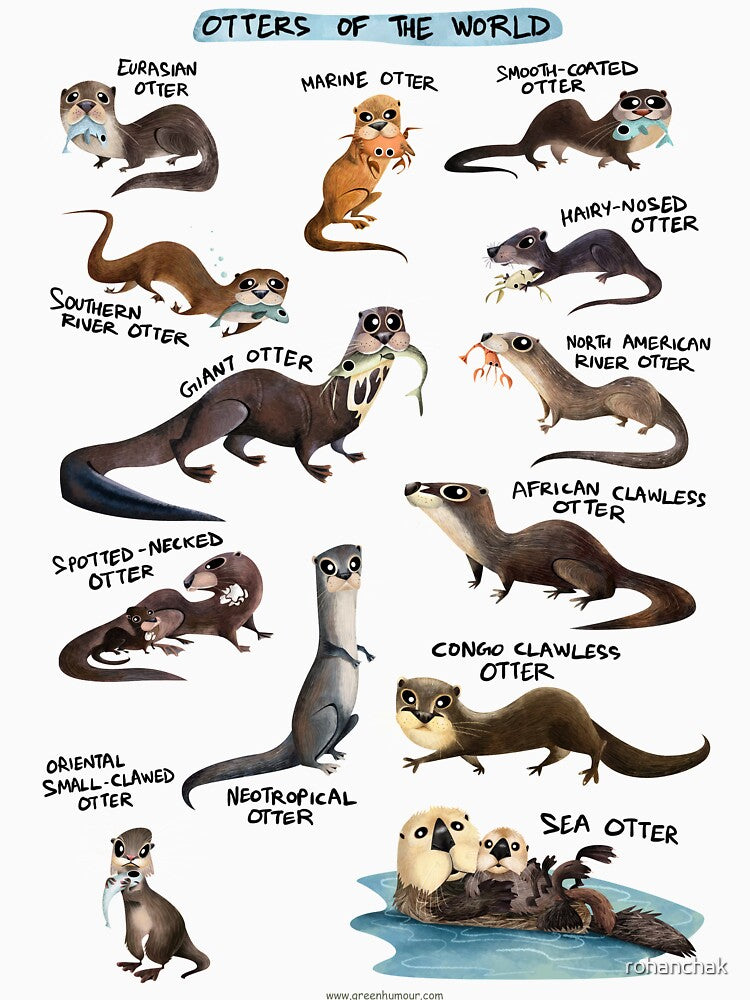 Otters of the World by Green Humour