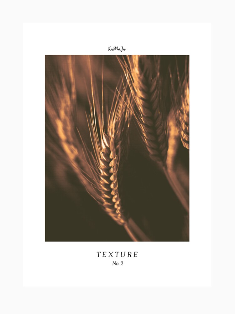 Beautiful Swaying Oats Texture by 4seasondesign