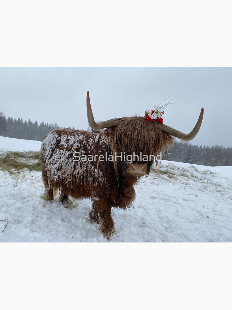 Scottish Highland Cattle Cow 3213 by SaarelaHighland