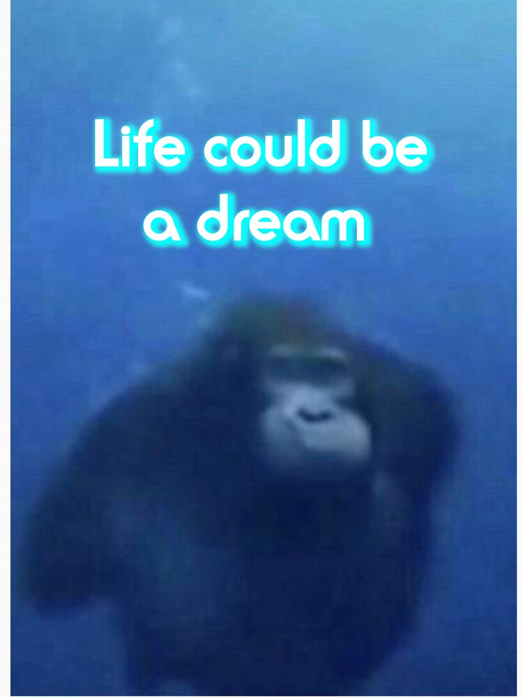 Monkey Swimming life could be a dream by Klapex