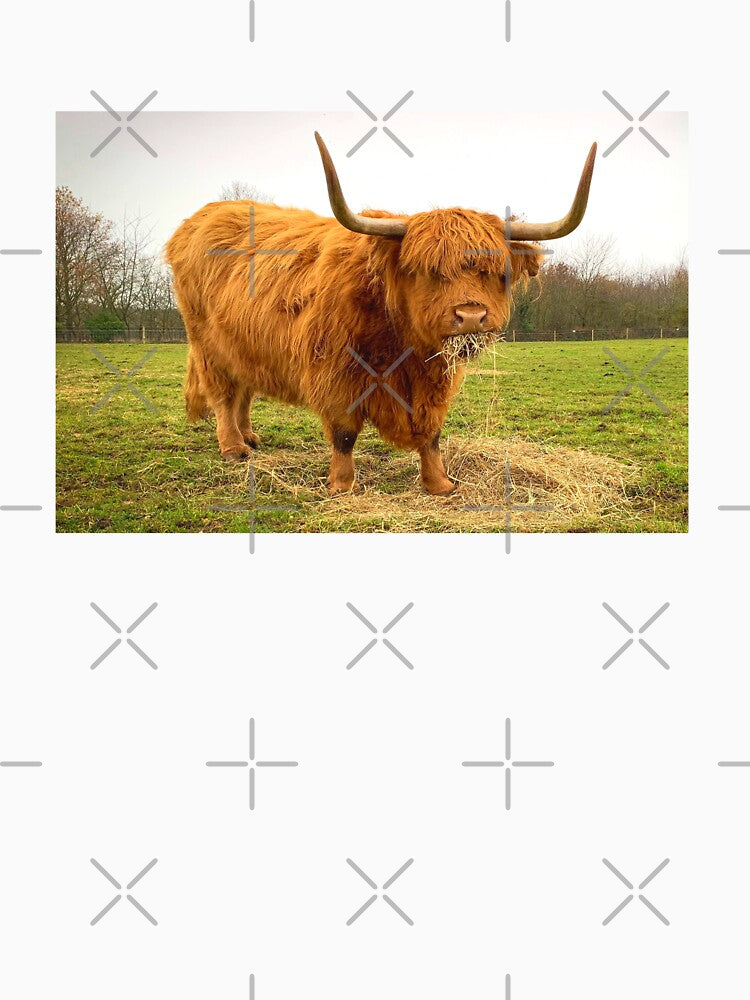 Scottish Highland Cow Picture by TheAnimalZ00