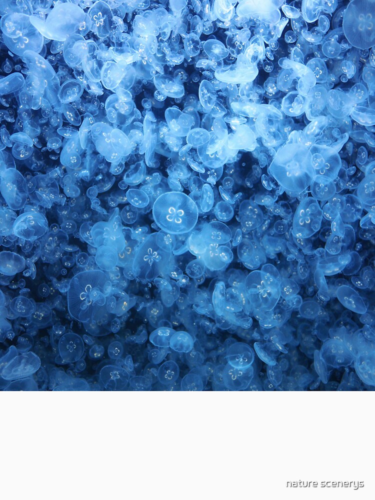 jellyfish pattern by nature scenerys