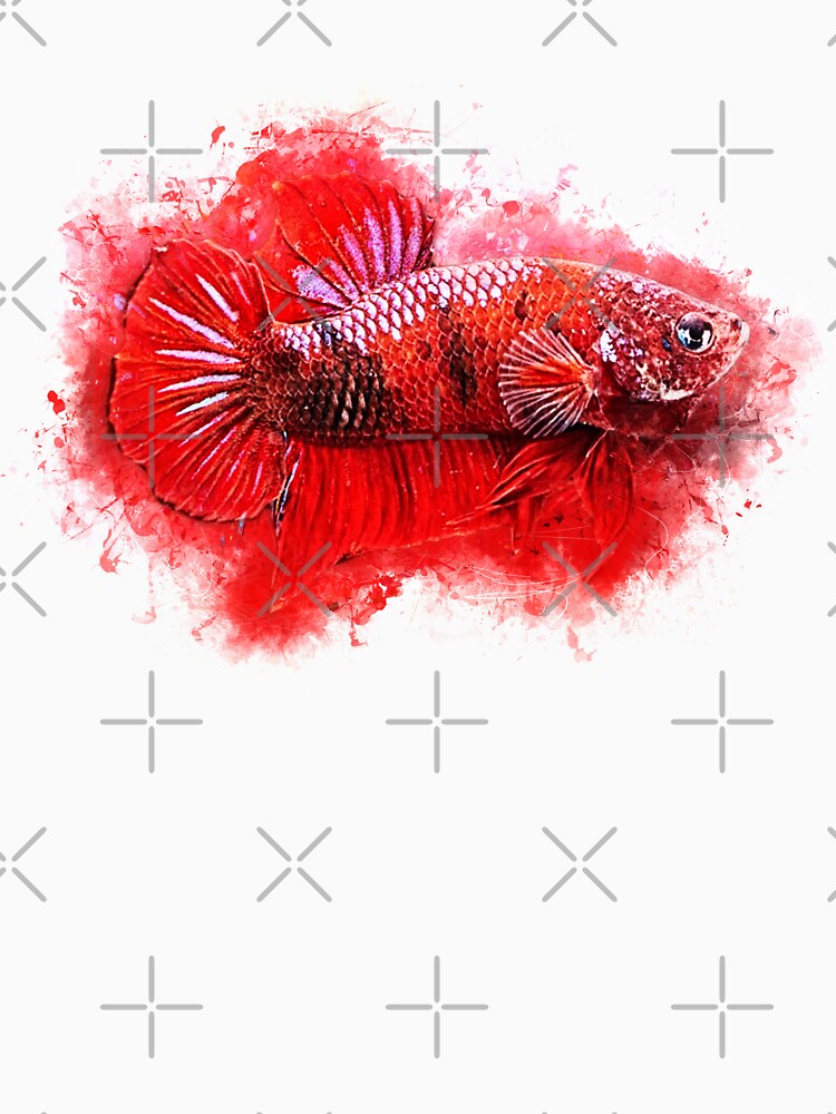 Fighting fish Hellboy - Betta splendens. by AquariumLutter