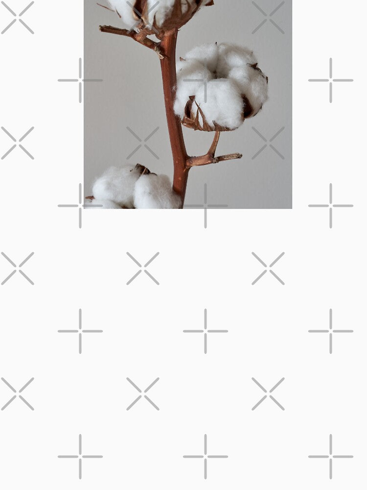 cotton flower by IgorKovalenko