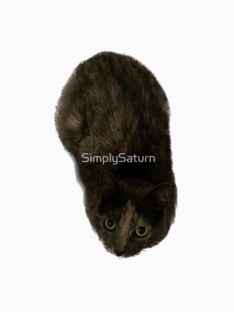 My Cat by SimplySaturn