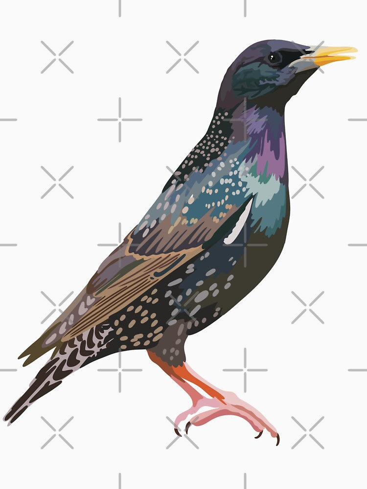 S is for Starling ,Starling – Vibrant and Social Songbird Wildlife Illustration by PrettylittlepastelUk