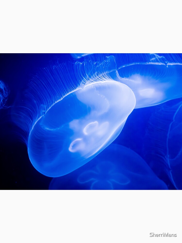 glowing jellyfish in the deep ocean by SherriMans