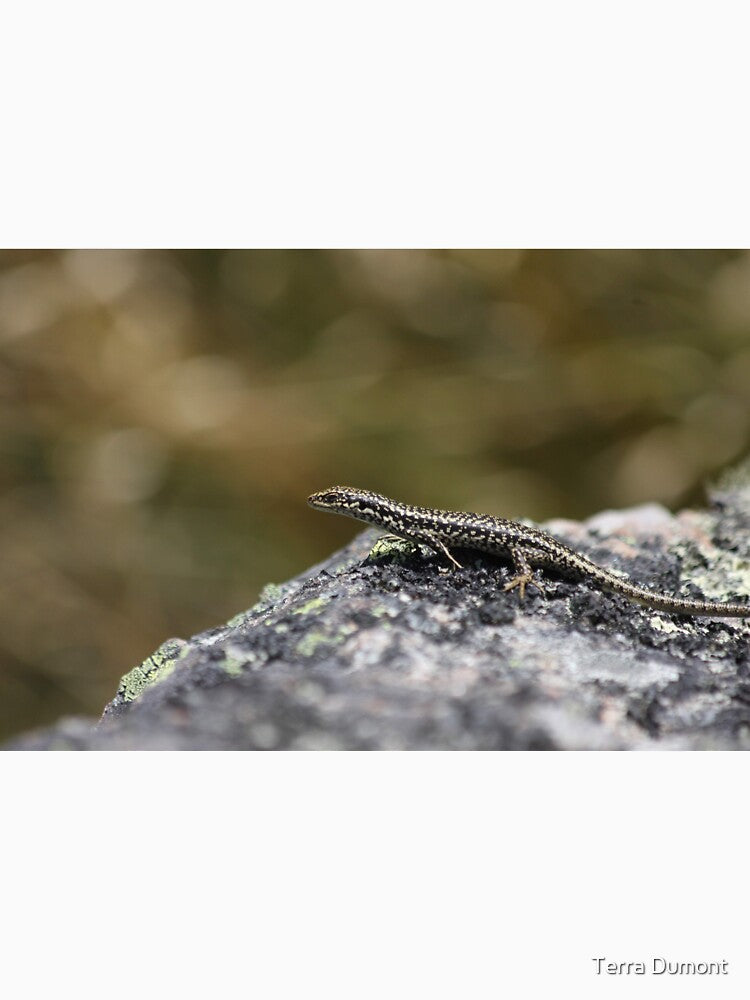 Baby Grand Skink by Terra Dumont