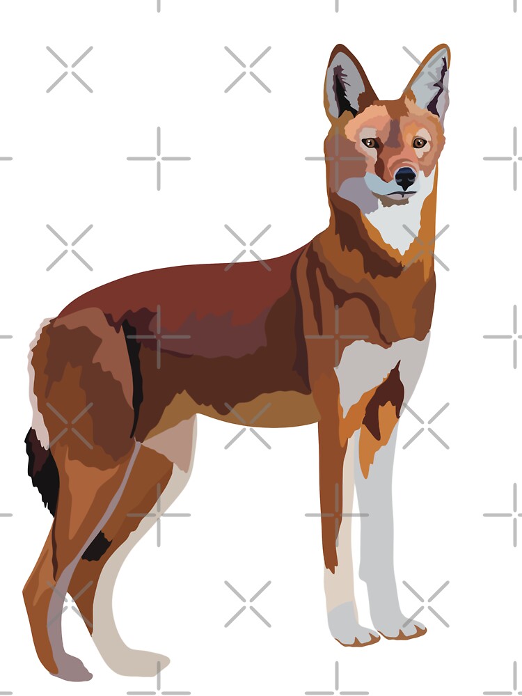 E is for Ethiopian Wolf,Ethiopian Wolf Illustration – Rare and Majestic African Canine Artwork by PrettylittlepastelUk