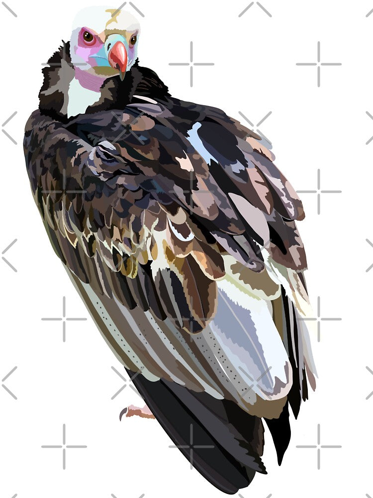 W is for White Headed Vulture, White-Headed Vulture Illustration – Striking African Scavenger Bird Wildlife Art by PrettylittlepastelUk