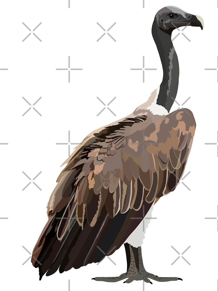 S is for Slender billed vulture by PrettylittlepastelUk