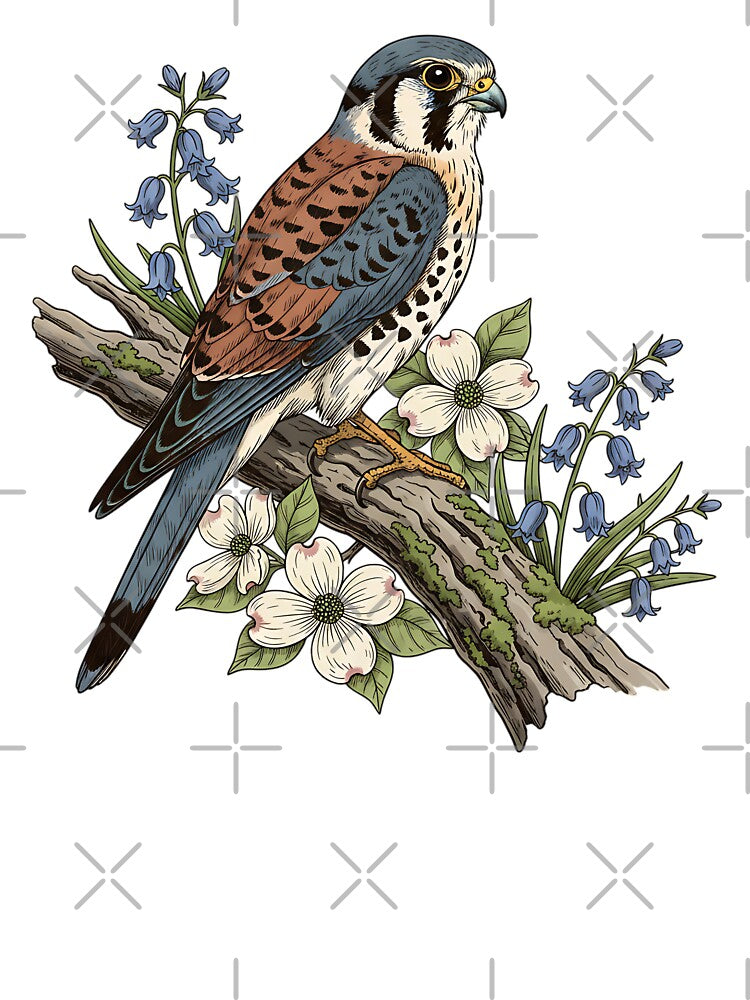 American Kestrel with Bluebells and Dogwood Botanicals by BirdsnStuff