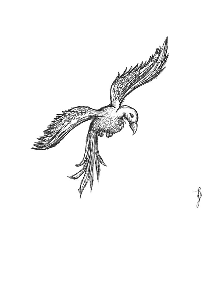 Flying Bird Sketchy Hand Drawn Black Ballpoint Pen by BOKEbyTC