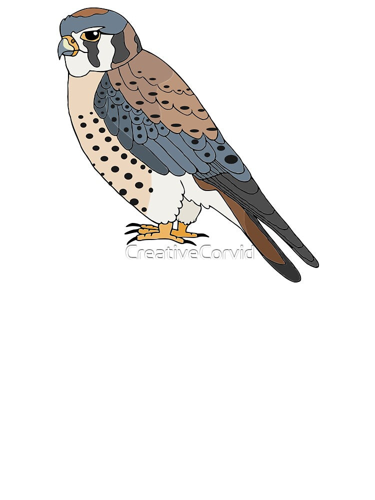 American Kestrel by CreativeCorvid