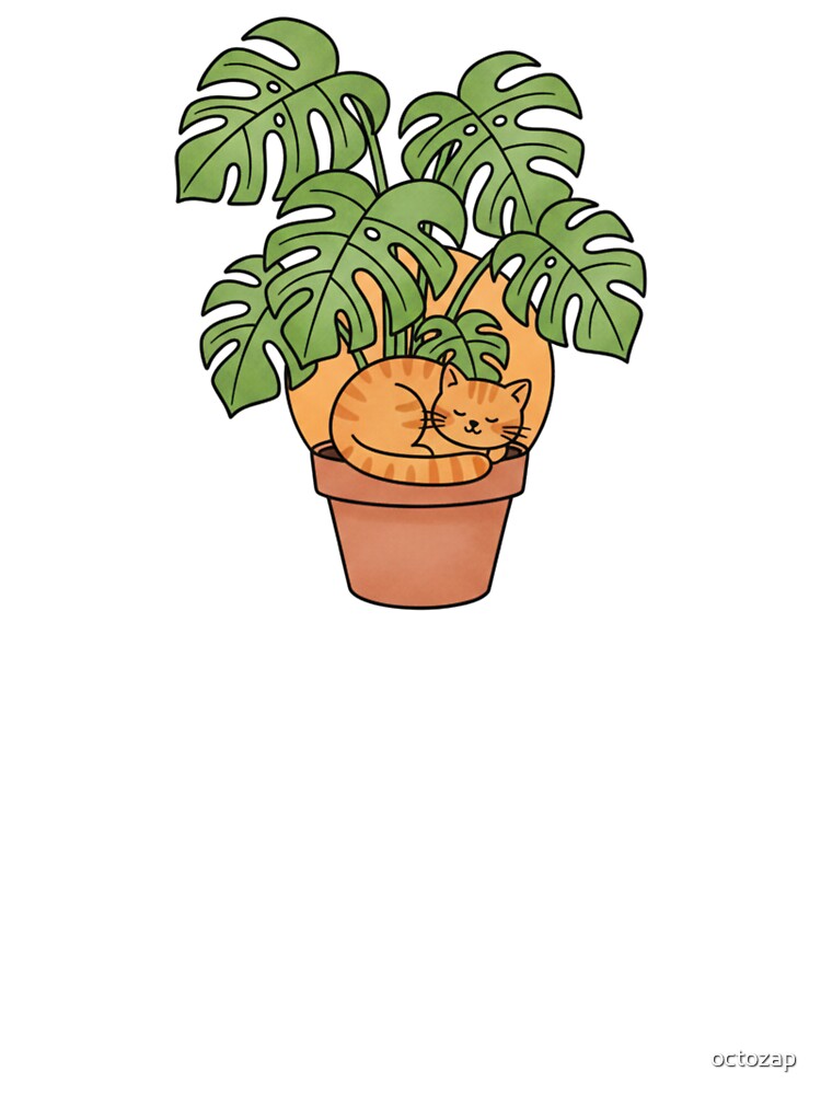 Cute Orange Cat Sleeping in Monstera Potted Plant by octozap