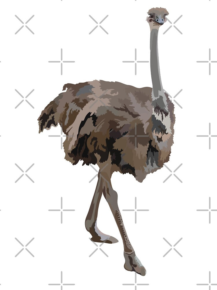 O is for Ostrich,Female Ostrich – Graceful Large Flightless Bird Wildlife Illustration by PrettylittlepastelUk