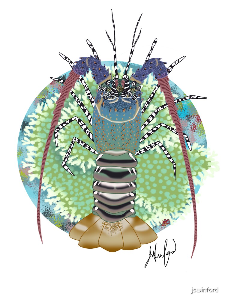 Ornate Spiny Lobster by jswinford