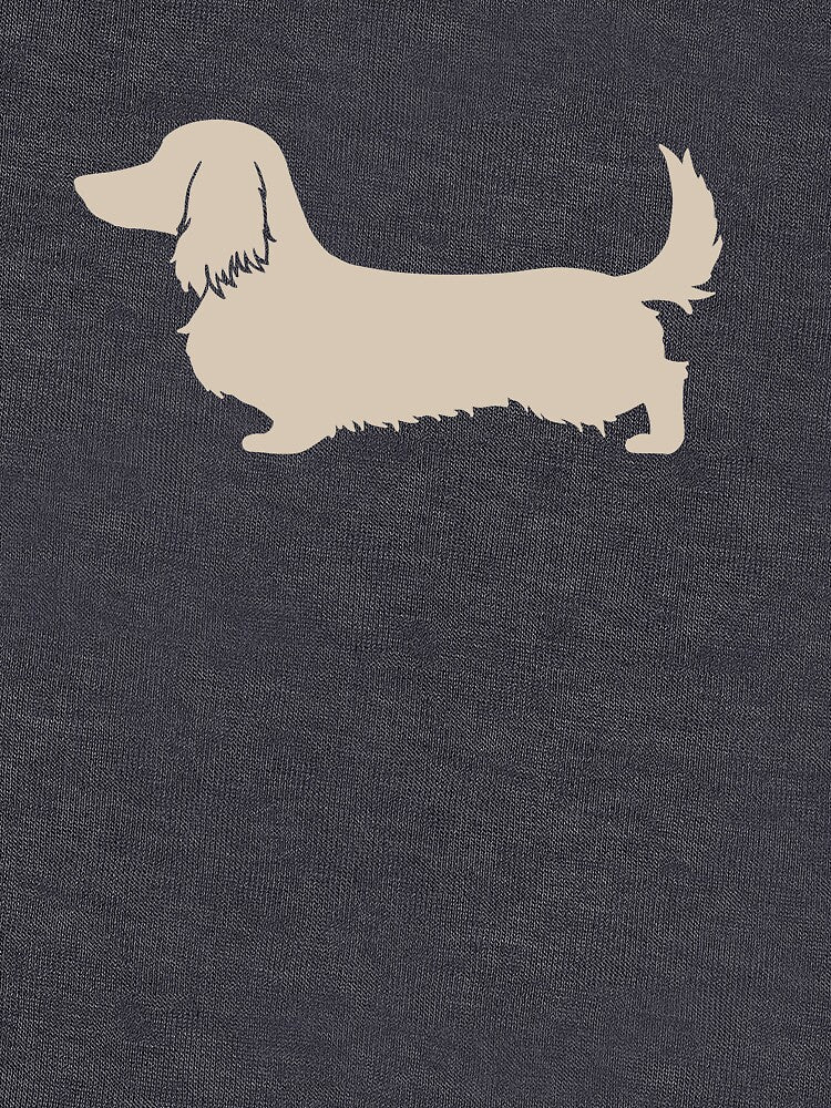 Longhair Dachshund by Alli Well