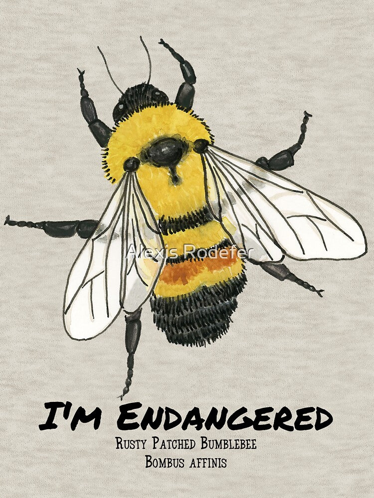 Rusty Patched Bumbleebee- I'm Endangered by Alexis Rodefer