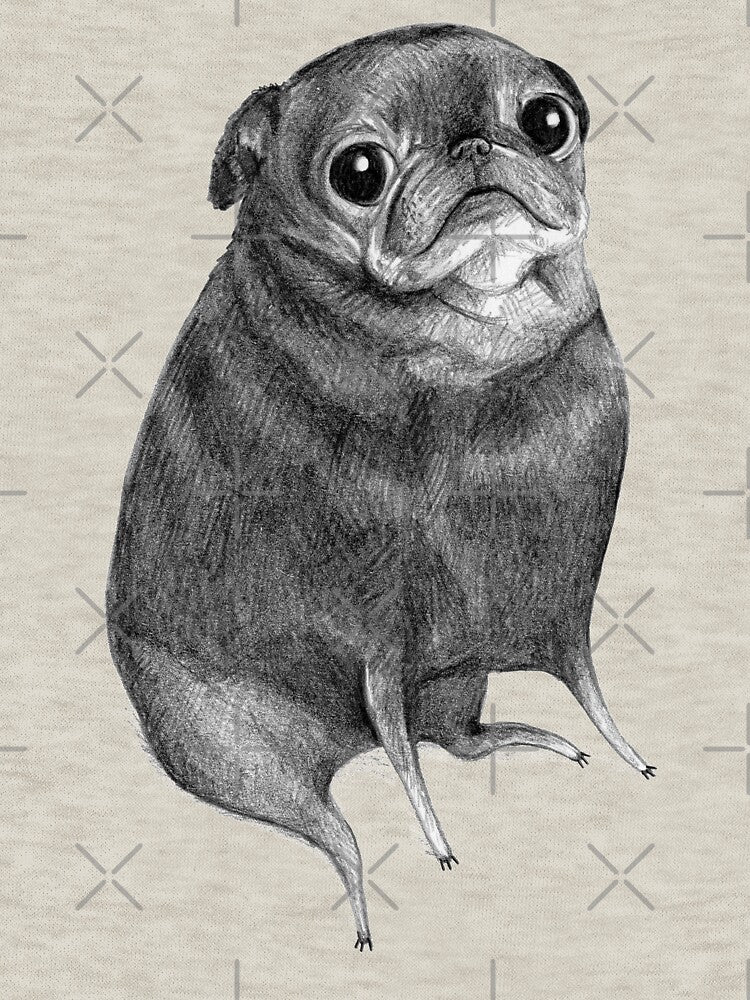 Sweet Black Pug by SophieCorrigan