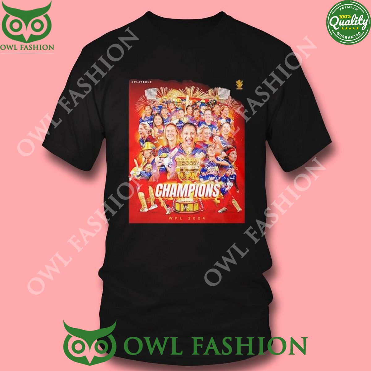 Royal Challengers Bangalore Wpl 2024 Champions Poster Shirt Ladies Tee Hoodie