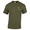 OFFICIAL Intelligence Corps Embroidered 100% Cotton T-Shirt