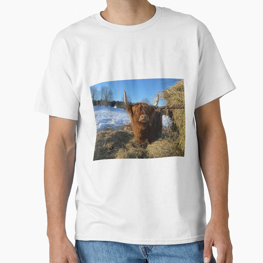 Scottish Highland Cattle Cow 3250 by SaarelaHighland