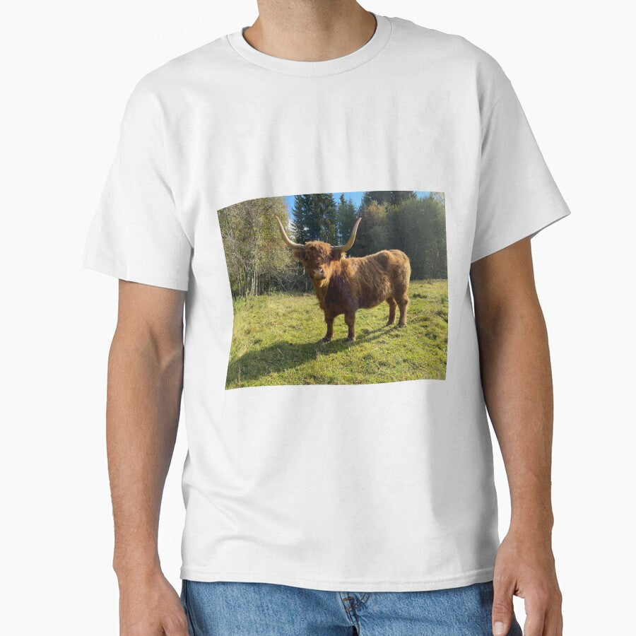 Scottish Highland Cattle Cow 2997 by SaarelaHighland