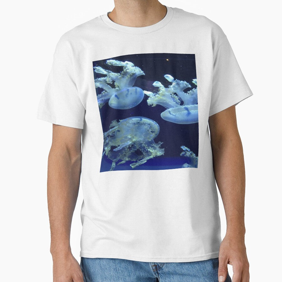 jellyfish patterns by nature scenerys