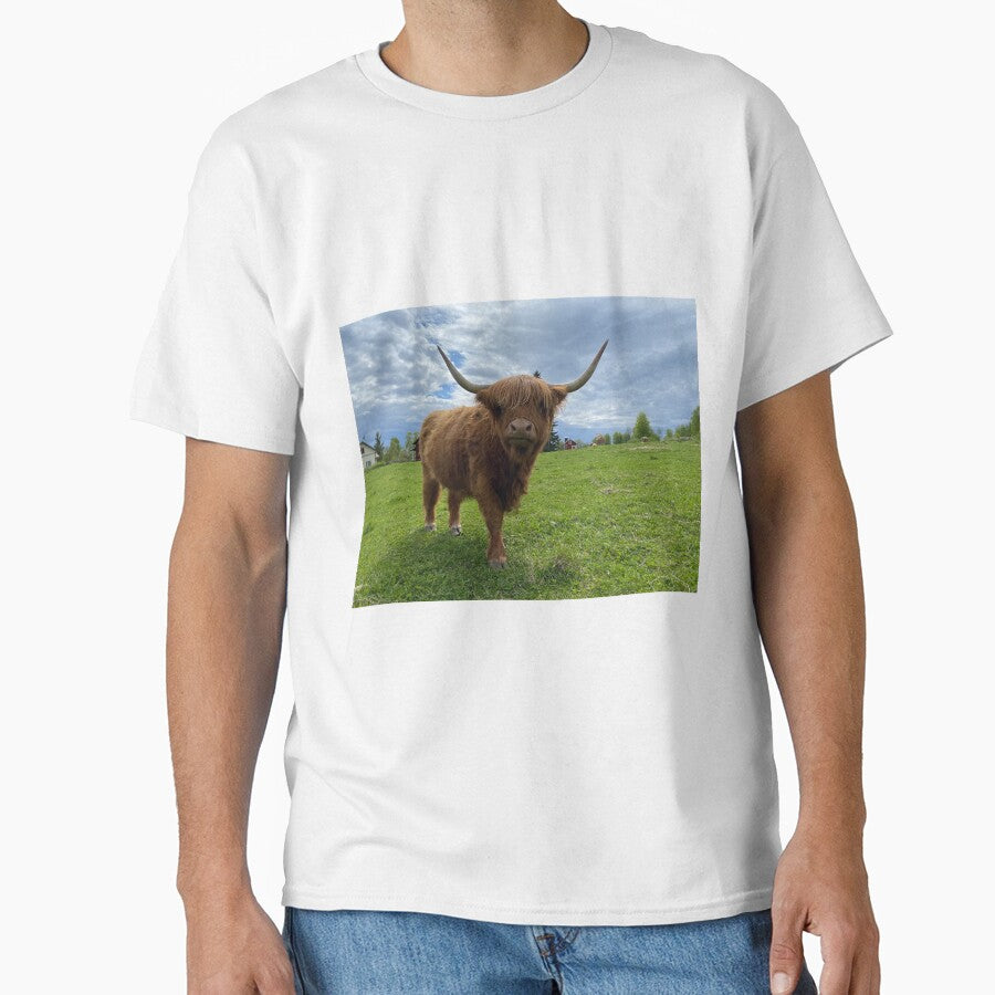 Scottish Highland Cattle Cow at green pasture 3352 by SaarelaHighland