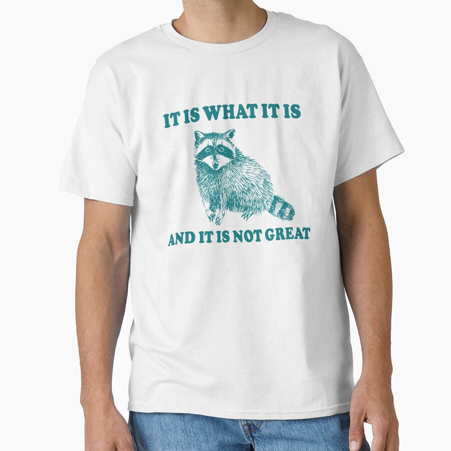 It Is What It is And It is Not Great Raccoon Meme by fomodesigns
