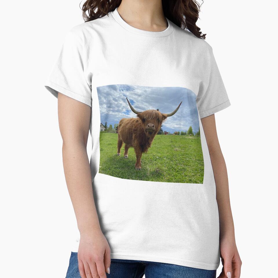 Scottish Highland Cattle Cow at green pasture 3352 by SaarelaHighland