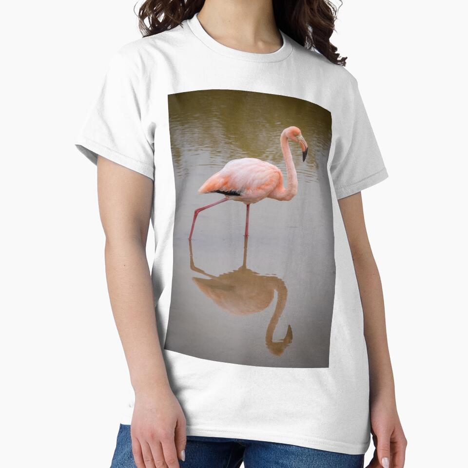 Pink Flamingo Reflection Wildlife Photography Galapagos Nature Print by WildFrameNature