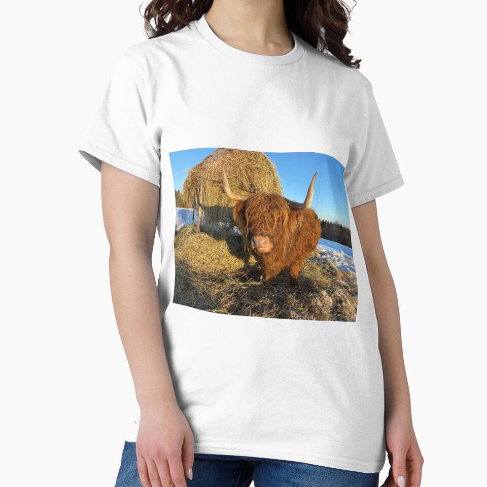 Scottish Highland Cattle Cow 3194 by SaarelaHighland