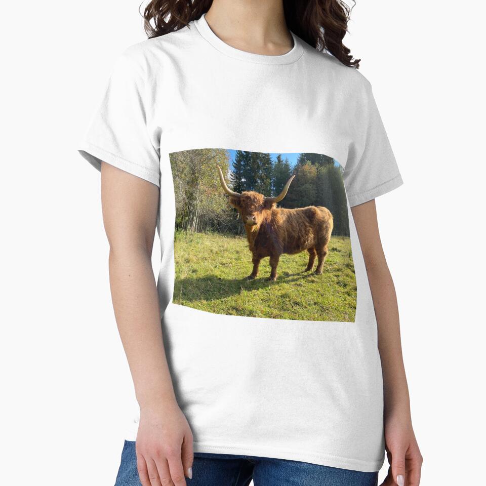 Scottish Highland Cattle Cow 2997 by SaarelaHighland