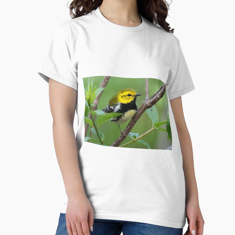 Black-throated Green Warbler by WorldDesign