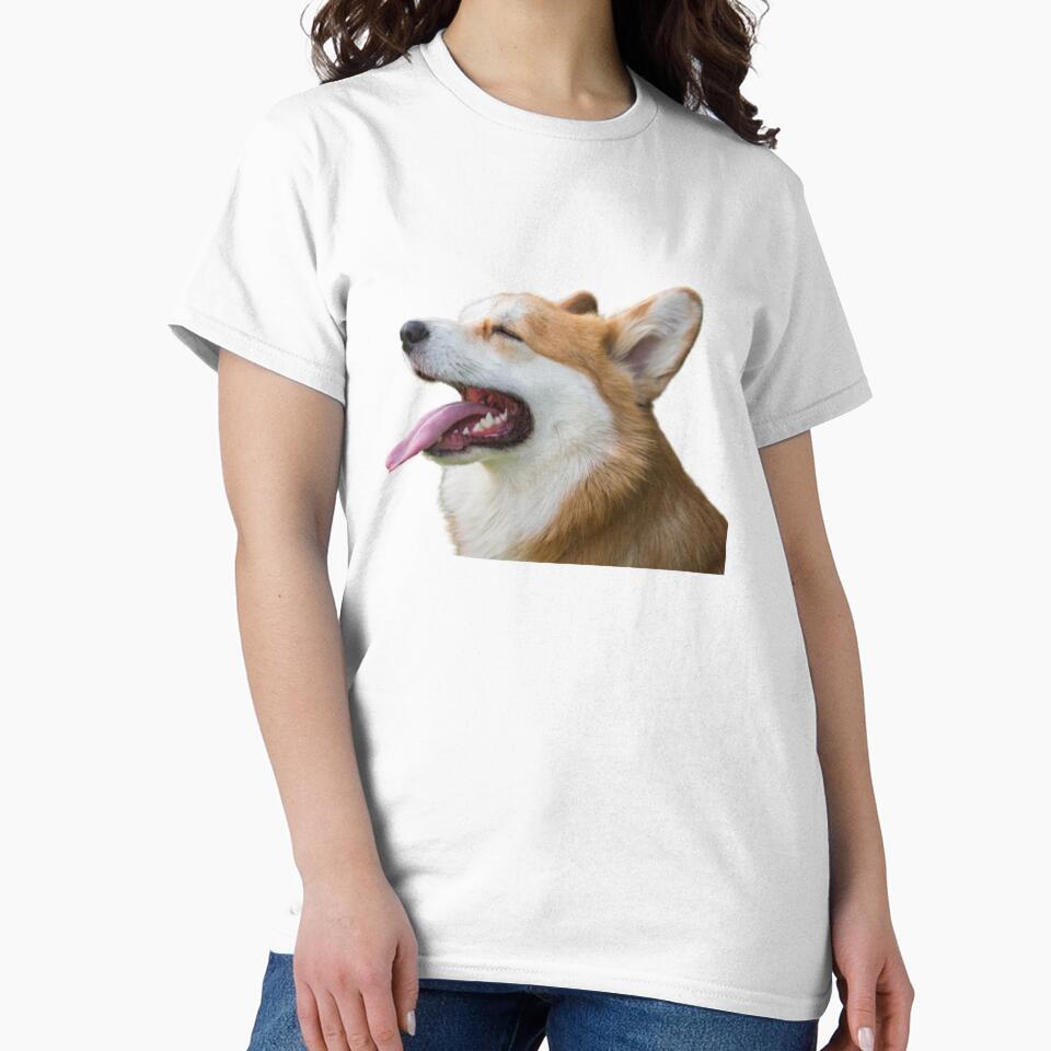Corgi by Fine Art California