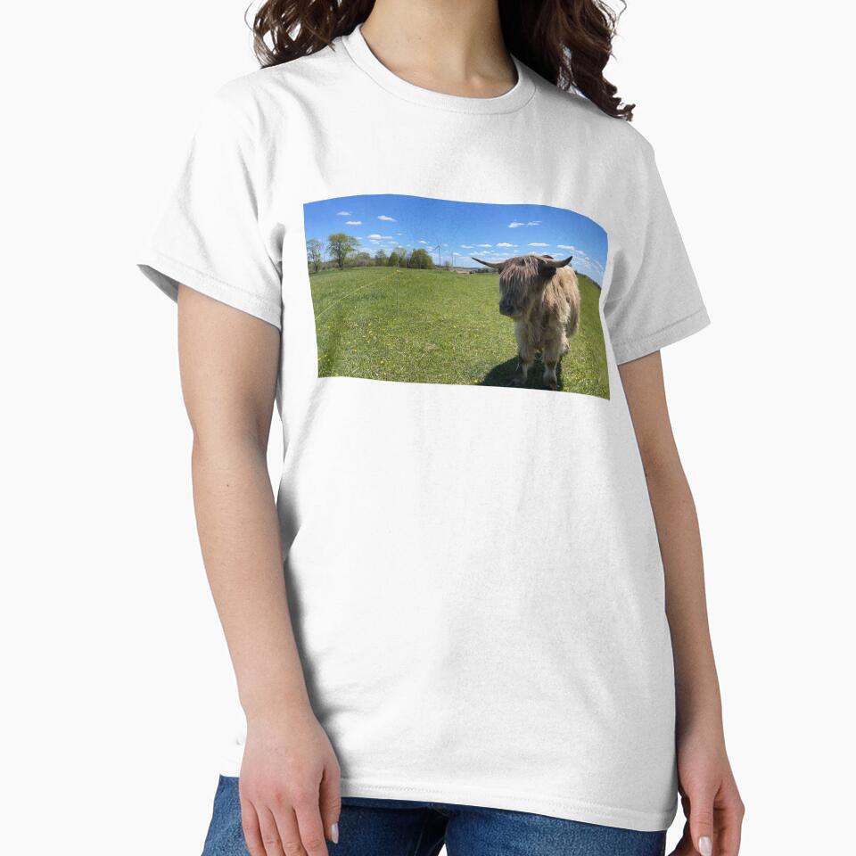 Fluffy Highland Cow Pasture | Scottish Cattle Photography by snapshotszach