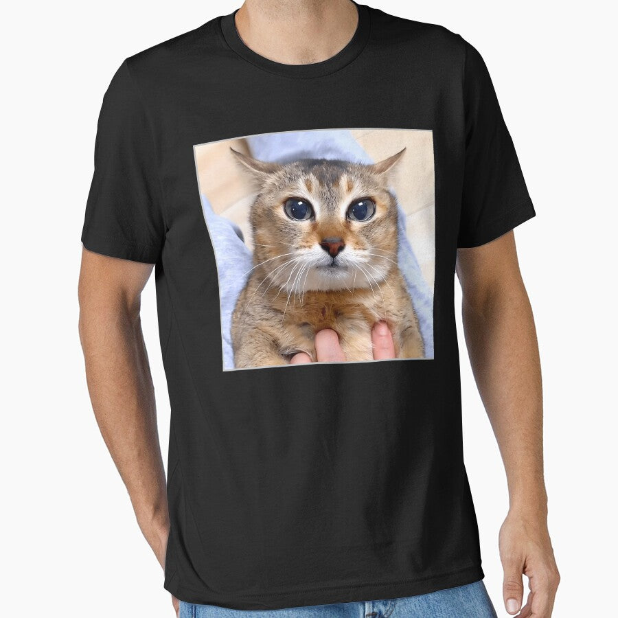 Silly Vro Cat Meme Tole Tole by TyrelKoch