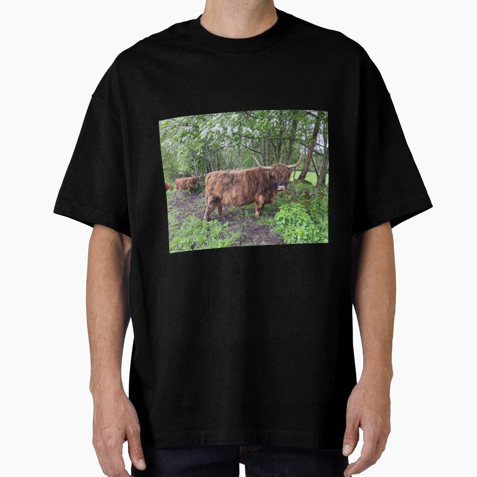 Scottish Highland Cattle Cow 2853 by SaarelaHighland