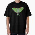 Dreamlight Luna Moth – Spirit of the Night by okayamberart