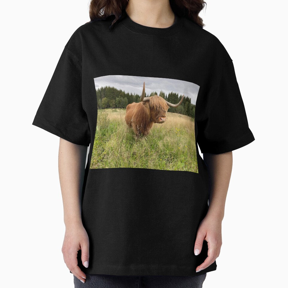 Scottish Highland Cattle Cow 2956 by SaarelaHighland
