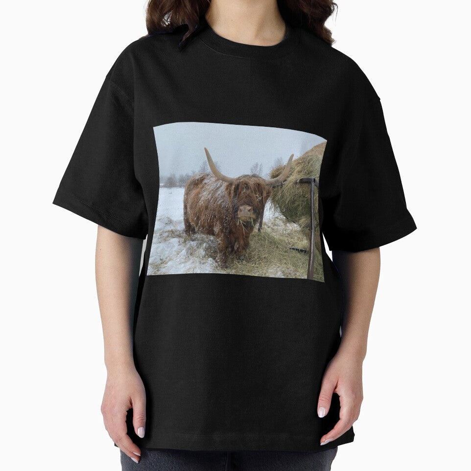 Scottish Highland Cattle Cow 3267 by SaarelaHighland