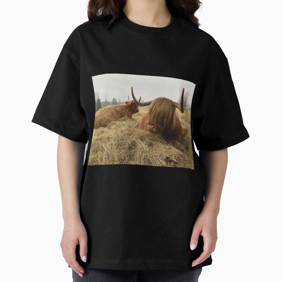 Scottish Highland Cattle Cow 3054 by SaarelaHighland