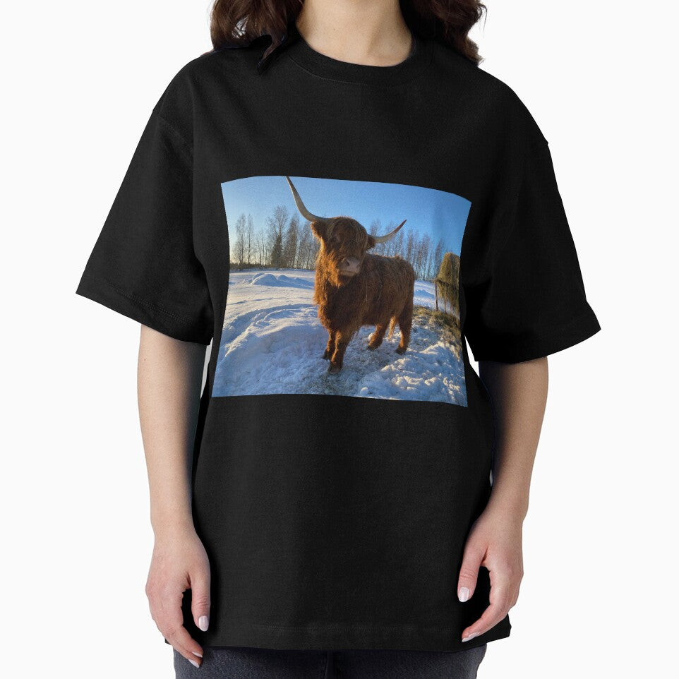 Scottish Highland Cattle Cow 3191 by SaarelaHighland