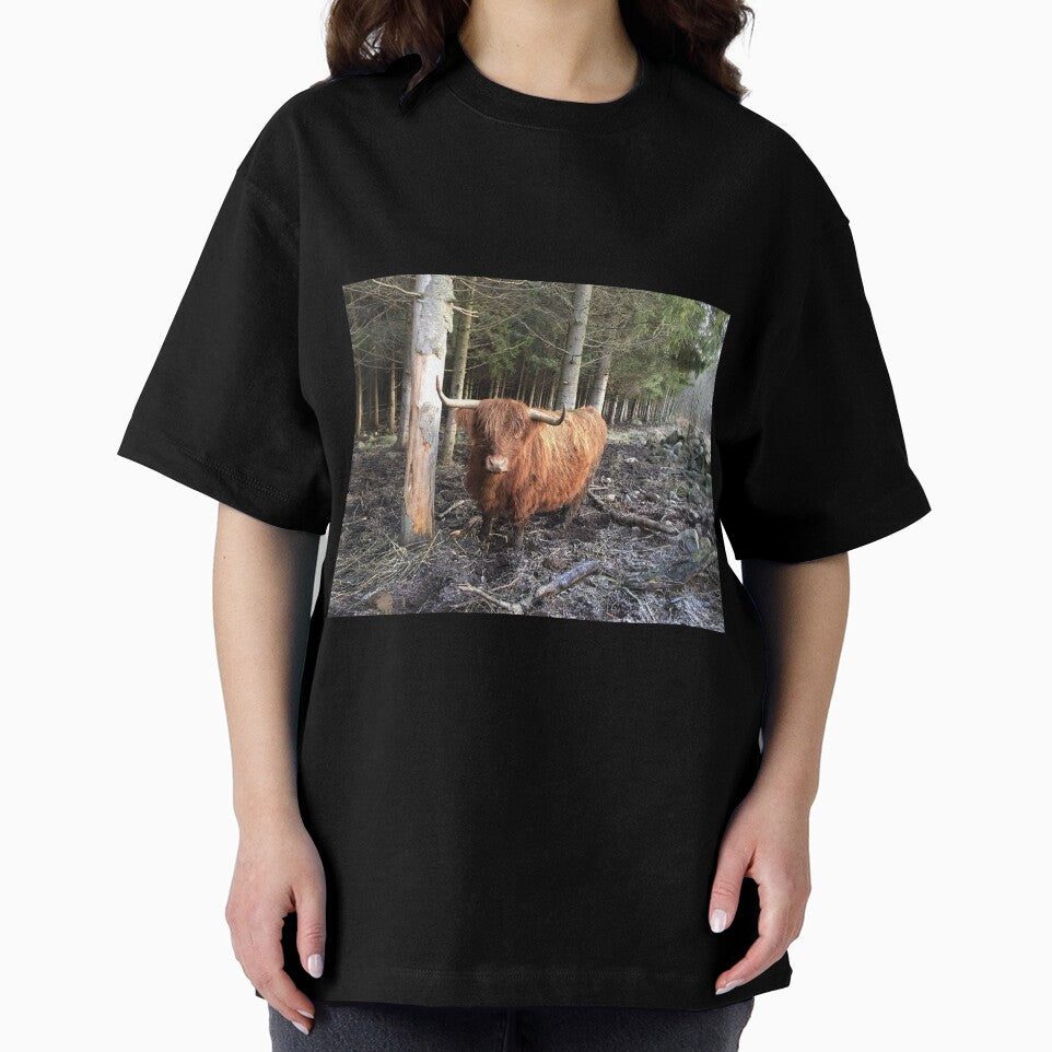 Scottish Highland Cattle Cow 1008 by SaarelaHighland