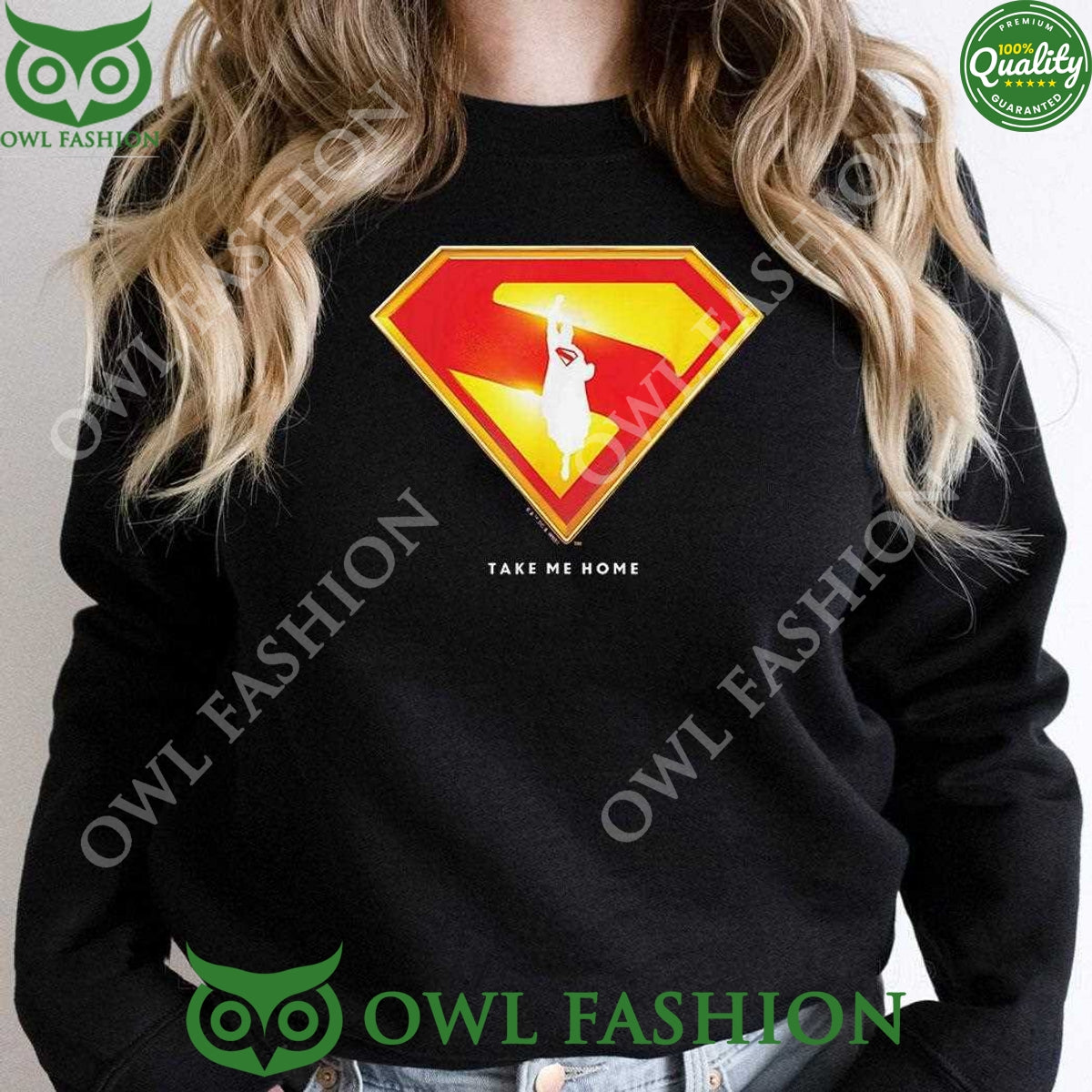 Superman 2025 Movie Take Me Home Shield 2D t shirt
